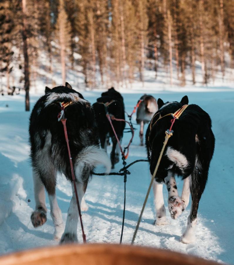 Highland Lodge Fjellandsby Geilo Εξωτερικό φωτογραφία